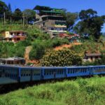 Ella: Curated Scenic Train Journey from Nanu Oya with Locals - Practical Details