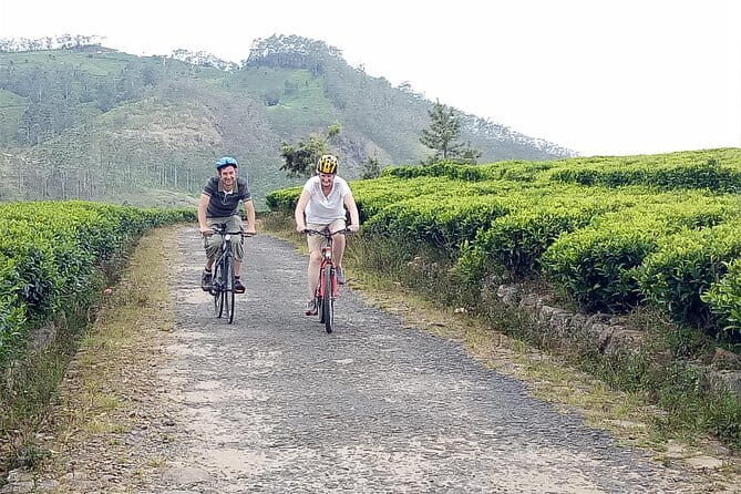 Ella Cycling Tour - Exploring Ella by Bike: An Honest Breakdown