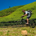 Ella Cycling Tour - Final Thoughts