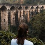 Ella Day Tour with Tea Factory All Inclusive Tour from Hambantota - Transportation and Logistics