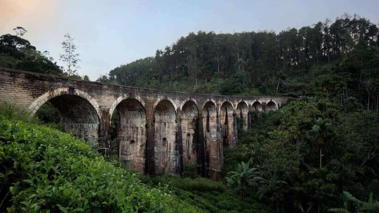 Ella Day Tour: with Tea Factory Visit from Galle - What does this tour mean for you?