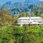 Ella: Halpe Tea Factory Tour with Tuk-Tuk Scenic Drive - Who Should Consider This Tour?