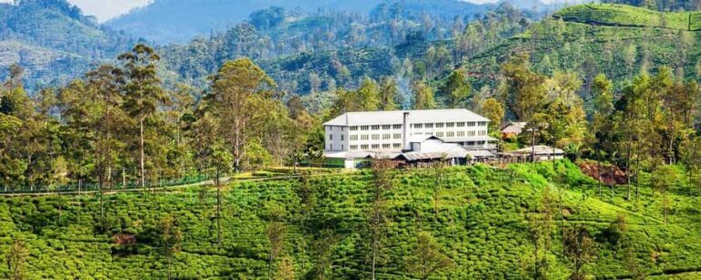 Ella: Halpe Tea Factory Tour with Tuk-Tuk Scenic Drive - Who Should Consider This Tour?