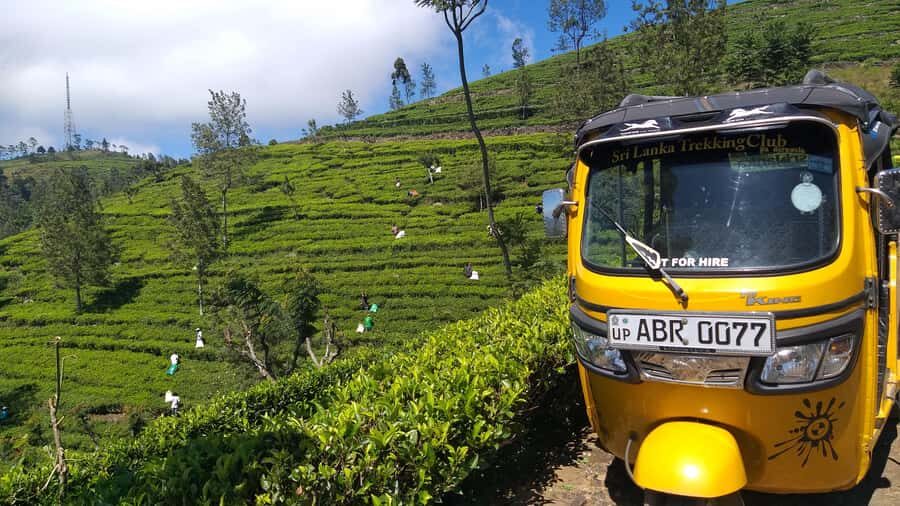 Ella-Haputae Tea Plantation Safari By Tuk Tuk & Liptons Seat - The Realities: Pros and Cons