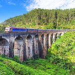 Ella Hill Country Tour : A Perfect Day Tour in Sri Lanka - Why This Tour Offers Great Value