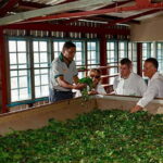 Ella: Little Adam's Peak, 9 Arch Bridge, Ravana Falls Tour - What to Expect on the Tour