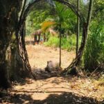 Ella Little Adam's Peak Sunrise Walking Tour Experience - The Tour Itinerary in Detail