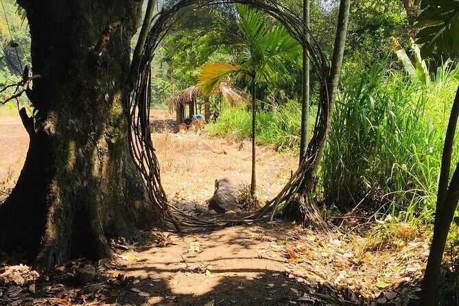 Ella Little Adam's Peak Sunrise Walking Tour Experience - The Tour Itinerary in Detail