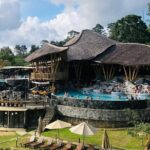 Ella One Day Private Tour with Scenic Train Ride and Tea Factory - Analyzing the Value and Practicalities