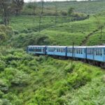 Ella Scenic Train Journey: Reserved E Tickets from Ambewela - The Practicalities: What to Know Before You Go