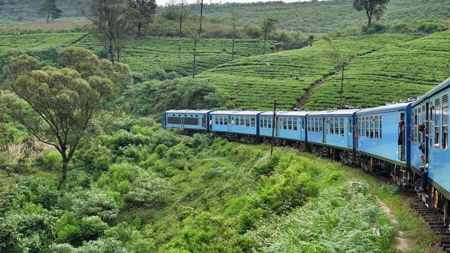 Ella Scenic Train Journey: Reserved E Tickets from Ambewela - The Practicalities: What to Know Before You Go