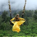 Ella Swing - The Experience: What You’ll See and Feel