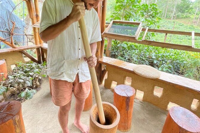 Ella Tea Making Experience Tour With Tasting & Snacks - The Scenic Stops That Complement the Tea Experience