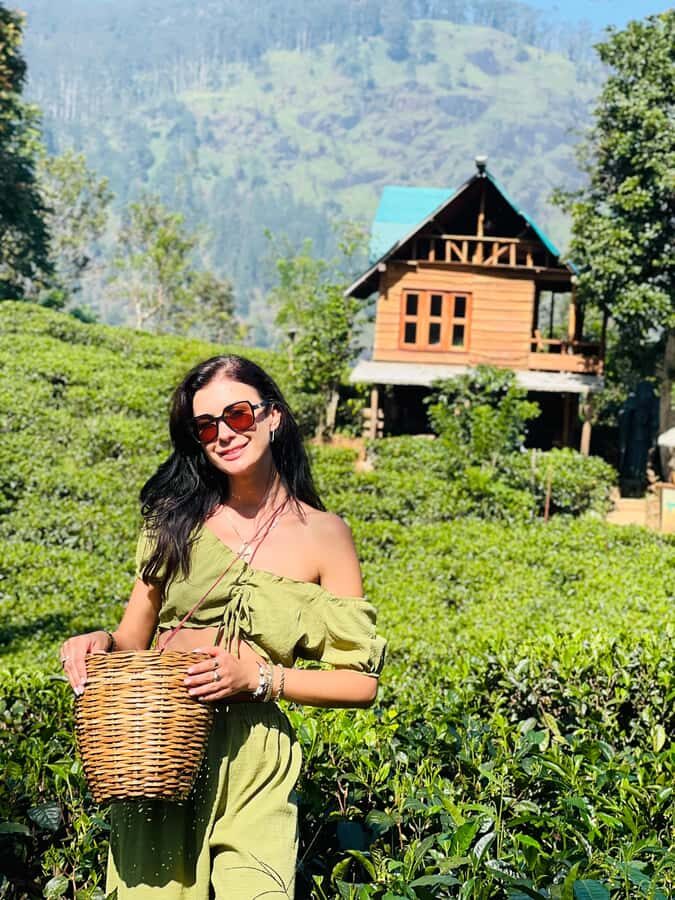 Ella: Tea-Making Experience Tour with Tasting & Snacks - The Experience: Why It Stands Out