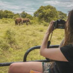 Ella to Mirissa Shuttle & Udawalawe Safari Drive with Breakfast - Introduction: Why Consider This Tour?