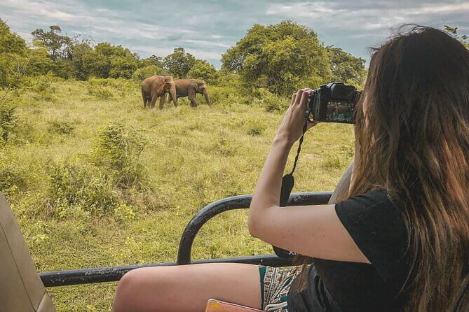 Ella to Mirissa Shuttle & Udawalawe Safari Drive with Breakfast - Introduction: Why Consider This Tour?