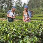 Ella to Nuwara Eliya Day trips with Mr.Tuk Tuk - Practicalities and Considerations