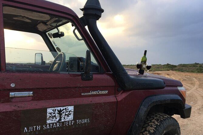 Ella to Tangalle/Hiriketiya/Mirissa/Galle Shuttle & Yala Safari - Who Is This Tour Best Suited For?