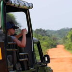 Ella: Transfer to Tangalle/Mirissa/Galle & Yala/Udawalawe Safari - Who Is This Tour Best For?