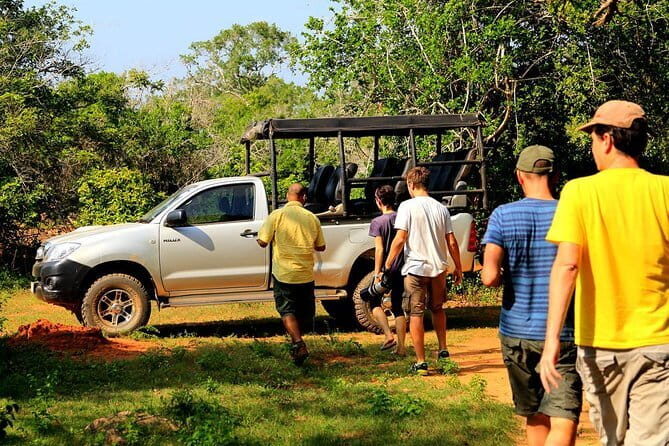 Ella: Transfer to Tangalle/Mirissa/Galle & Yala/Udawalawe Safari - Transportation and Group Size