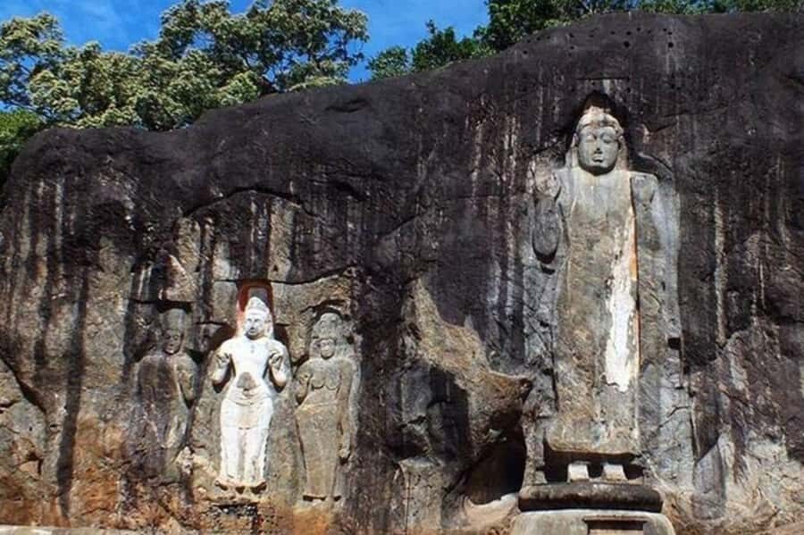 Ella: Udawalawe Safari, Mulkirigala Temple & Hiriketiya Drop - What Reviewers Say  