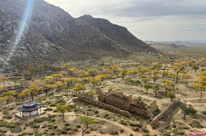 Elsen Tasarkhai Sand Dunes 2 days tour - Who Will Love This Tour?