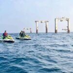 Embark on an Adrenaline-Fueled Safari Experience - Why This Experience Works for You