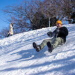 Enjoy Sapporo Snow Like a Local: Sled Build & Park Fun - Practical Details