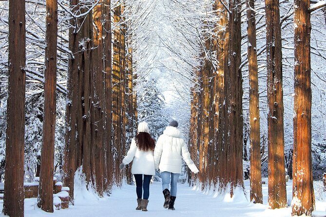 Eobi Ice Valley, Nami Island and Petite France tour in Seoul - What Makes This Tour Stand Out?