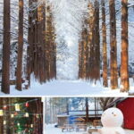 Eobi Ice Valley & Nami & Petite (+ Light Festival, Railbike) - Exploring Korea’s Winter Wonderland