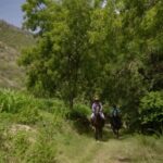 Equestrian Escape: Horse Safari Adventure - What to Expect on the Tour