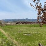 Escape the City Tea, Calligraphy and Tea Fields in Rural Kyoto - The Sum Up