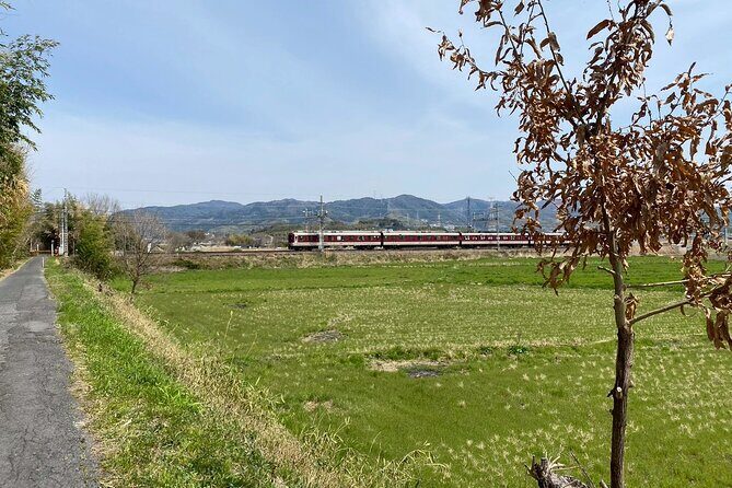 Escape the City Tea, Calligraphy and Tea Fields in Rural Kyoto - The Sum Up