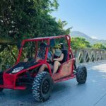 Escape to Buggy Adventure and Damajagua Waterfalls Tour - Who Will Love This Tour?