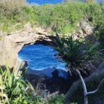 Eua Southside Adventure Day Tour - Starting Point: Toafa Lodge