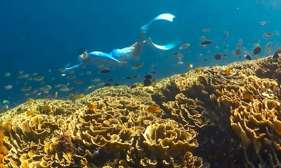 Exclusive 4 Secret Gilis: Petagan, Bidara, Kapal, and Kondo - Snorkeling at Gili Bidara
