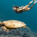 Exclusive 5 Secret Gilis: Snorkeling & Island Hopping - Practical Details & What to Expect