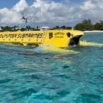 Exclusive Cayman Underwater Adventure: Yellow Submarine Cayman - The Itinerary: A Closer Look