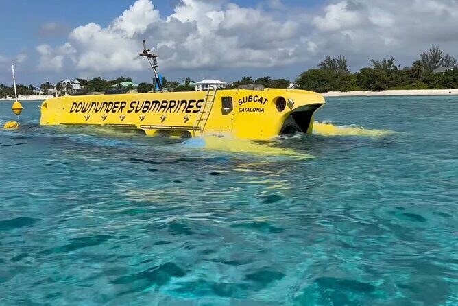 Exclusive Cayman Underwater Adventure: Yellow Submarine Cayman - The Itinerary: A Closer Look
