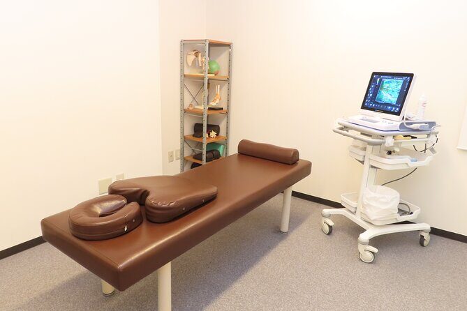 Exclusive Celebrity Massage Experience in Ginza - Who Would Love This Experience?