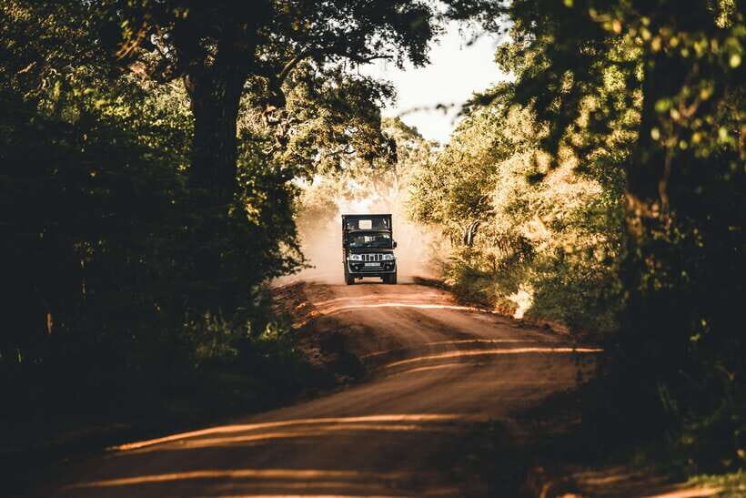 Exclusive Over Night Glamping Experience and Nature Trail - Wildlife Encounters: Game Drives and Nature Walks