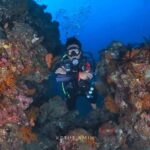 Exclusive private dive guide and underwater photography - Exploring Bali’s Underwater World with a Personal Touch