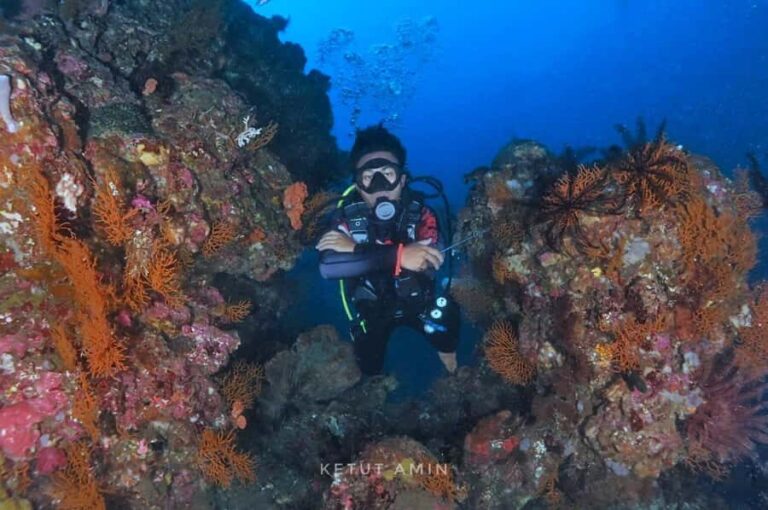 Exclusive private dive guide and underwater photography - Exploring Bali’s Underwater World with a Personal Touch