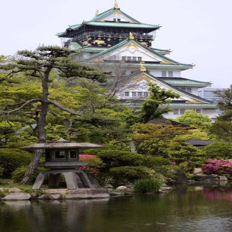 Exclusive Private Guided Tour of Osaka & Nara, Customize - A Deeper Look at the Itinerary