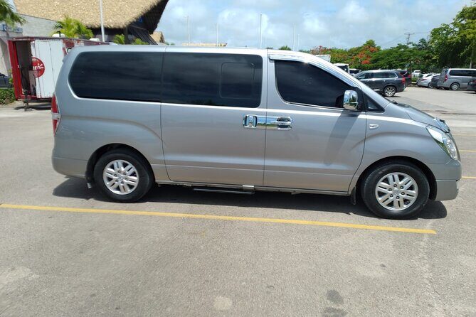 Exclusive Private Transfer: Punta Cana Airport to Bávaro Hotels - Insights from Travelers