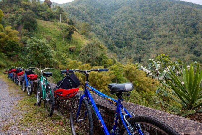 Exotic Full-Day Blue Mountain Bicycle Adventure - Value & Practical Notes