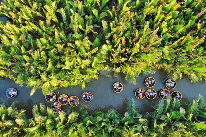 Experience Basket Boat Ride in Water Coconut Forest - The Value of This Experience