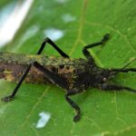 Experience Khao Sok Jungle Escape Half Day Half Night - What Makes This Tour Special