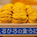 Experience the Art of Edo-Style Sushi: Sushi Dragon Shibuya - Final Thoughts: Is It Worth It?