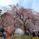 Experience Tokyo with Asakusa Walking Tour - Practical Details and Value